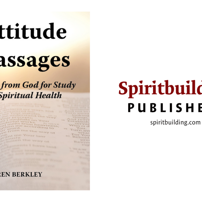 Discover a Path to Positive Change with "Attitude Passages" by Warren Berkley