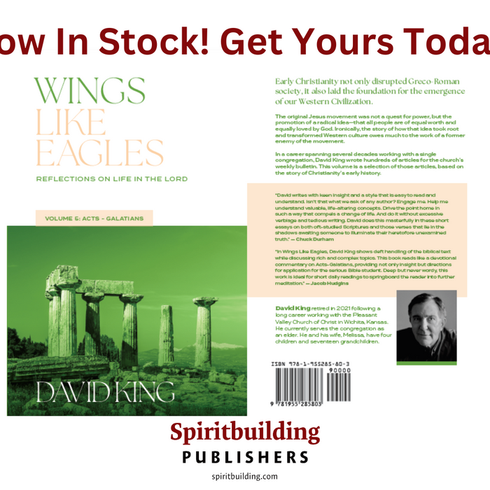 Get Your Copy of Wings Like Eagles, Volume 5!