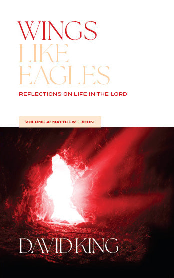 Wings Like Eagles: Reflections on Life in the Lord - Volume 4: Matthew-John by David King