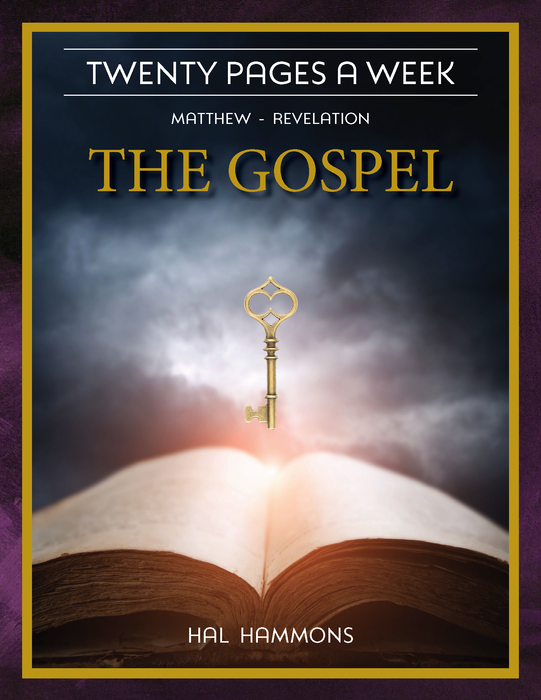 20 Pages a Week: Volume 4 - The Gospel (Matthew-Revelation)