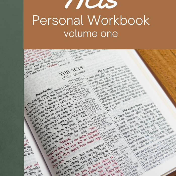 Acts Personal Workbook, Volume 1 (Chapters 1–12) by Chad Sychtysz, book cover