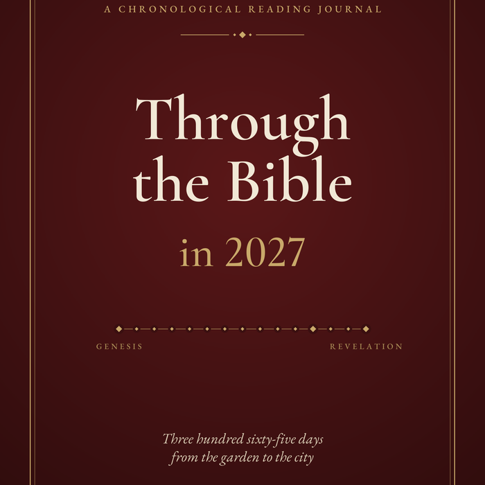 Through the Bible in 2027: A Chronological Bible Reading Journal by Matthew Allen, book cover