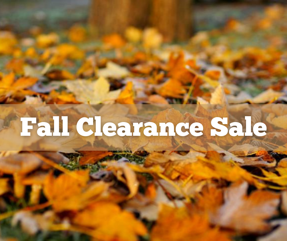 Fall 2025 Clearance