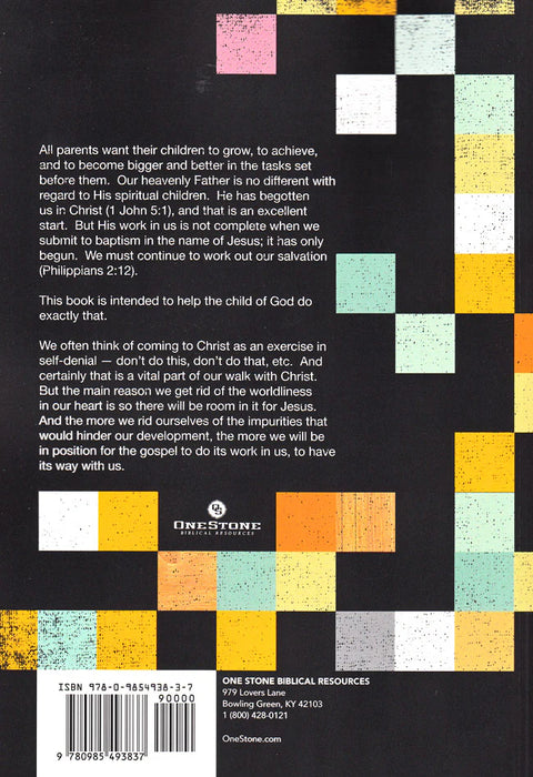 Construction in Progress: Building a Better Christian, One Project at a Time