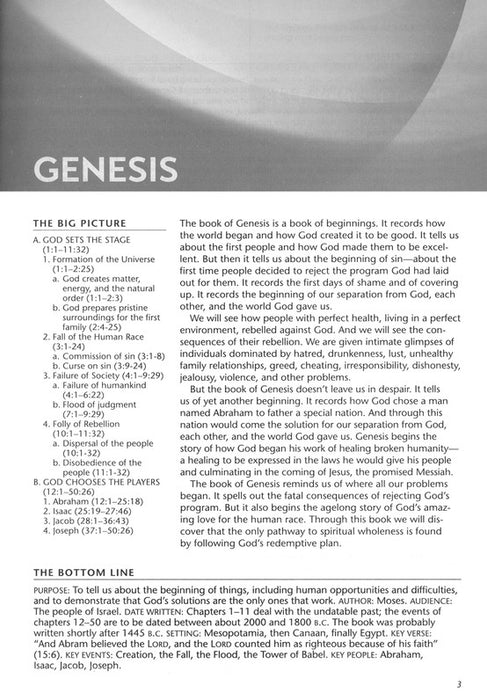 NLT The Life Recovery Bible, Soft Cover