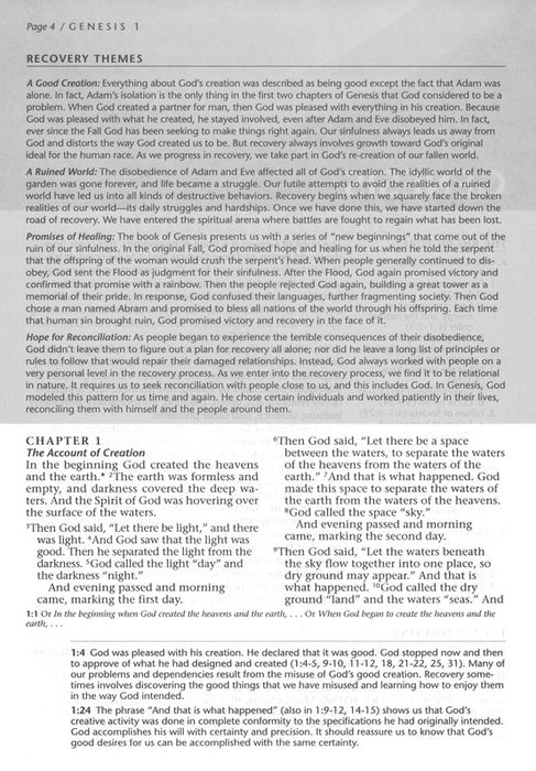 NLT The Life Recovery Bible, Soft Cover