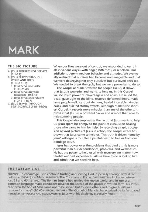 NLT The Life Recovery Bible, Soft Cover