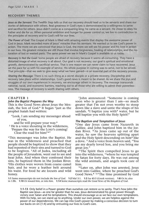 NLT The Life Recovery Bible, Soft Cover