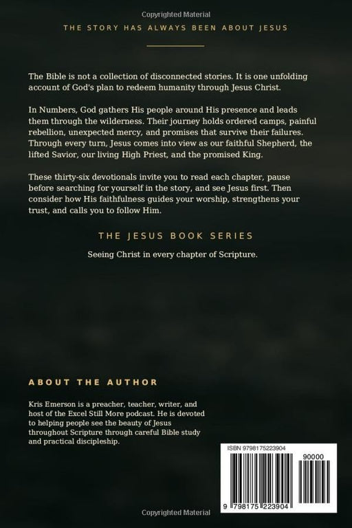 Numbers: A Jesus Book by Kris Emerson - back cover