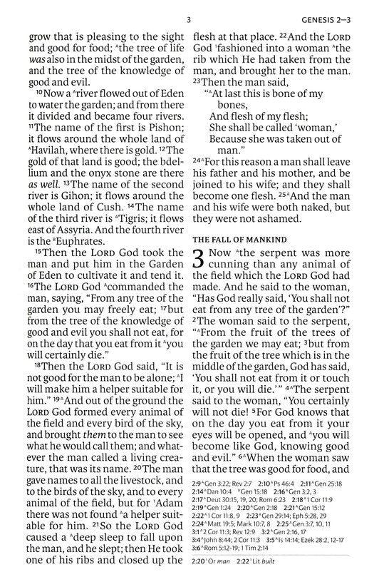 NASB Giant Print Reference Bible--soft leather-look, olive (indexed)