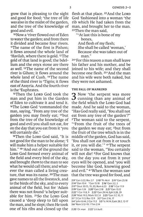 NASB Giant Print Reference Bible--soft leather-look, teal (indexed)