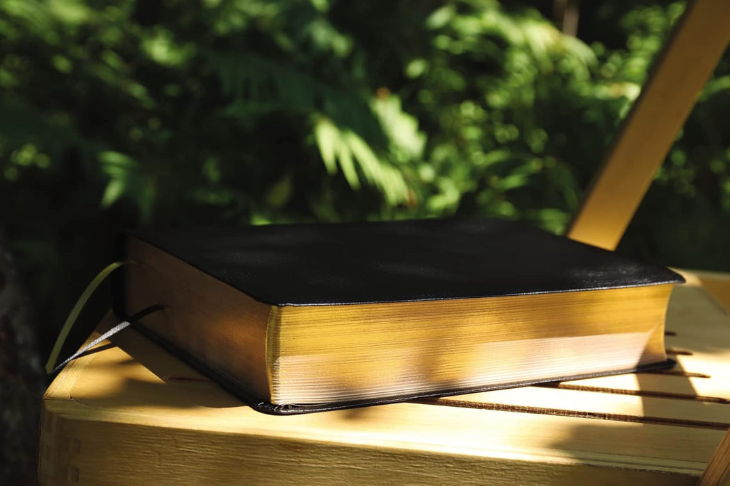 NASB: The Grace and truth Study Bible; Bonded Leather, Black, Red Letter, 1995 Text, Comfort Print