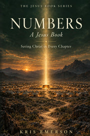 Numbers: A Jesus Book by Kris Emerson - front cover