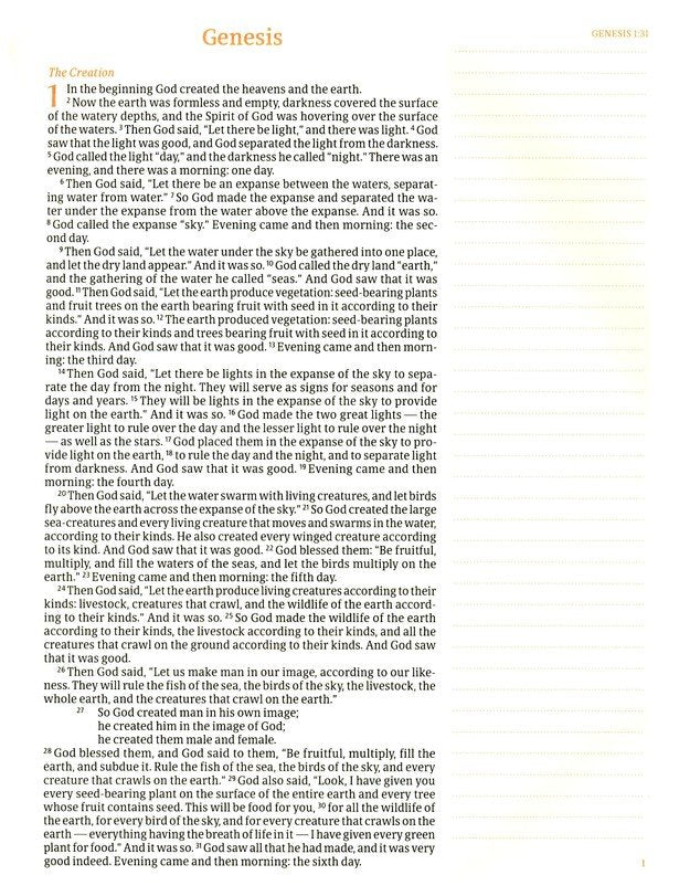 CSB Notetaking Bible, Large Print Hosanna Revival Edition, Blush Cloth Over Board: The Holy Bible