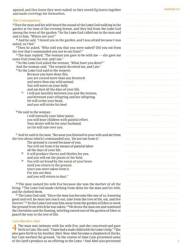 CSB Notetaking Bible, Large Print Hosanna Revival Edition, Blush Cloth Over Board: The Holy Bible