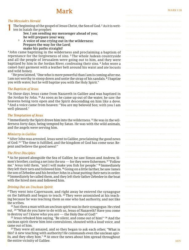 CSB Notetaking Bible, Large Print Hosanna Revival Edition, Blush Cloth Over Board: The Holy Bible
