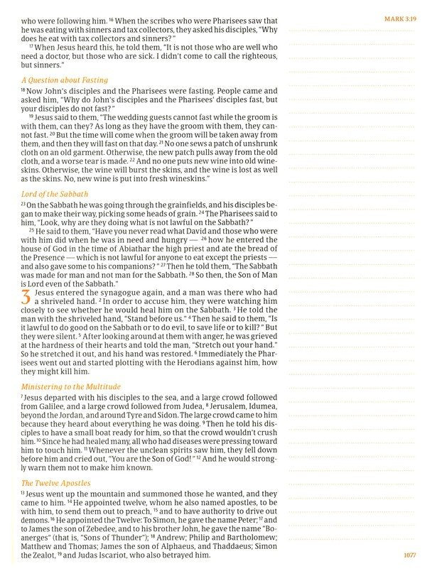 CSB Notetaking Bible, Large Print Hosanna Revival Edition, Blush Cloth Over Board: The Holy Bible