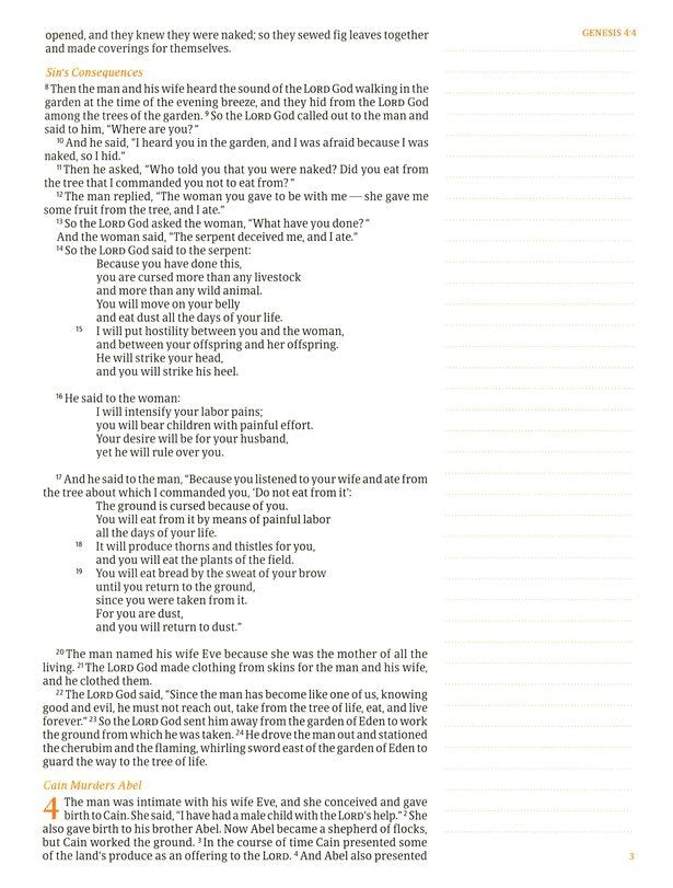 CSB Notetaking Bible, Large Print Hosanna Revival Edition, Lavender/Peach Cloth Over Board: The Holy Bible
