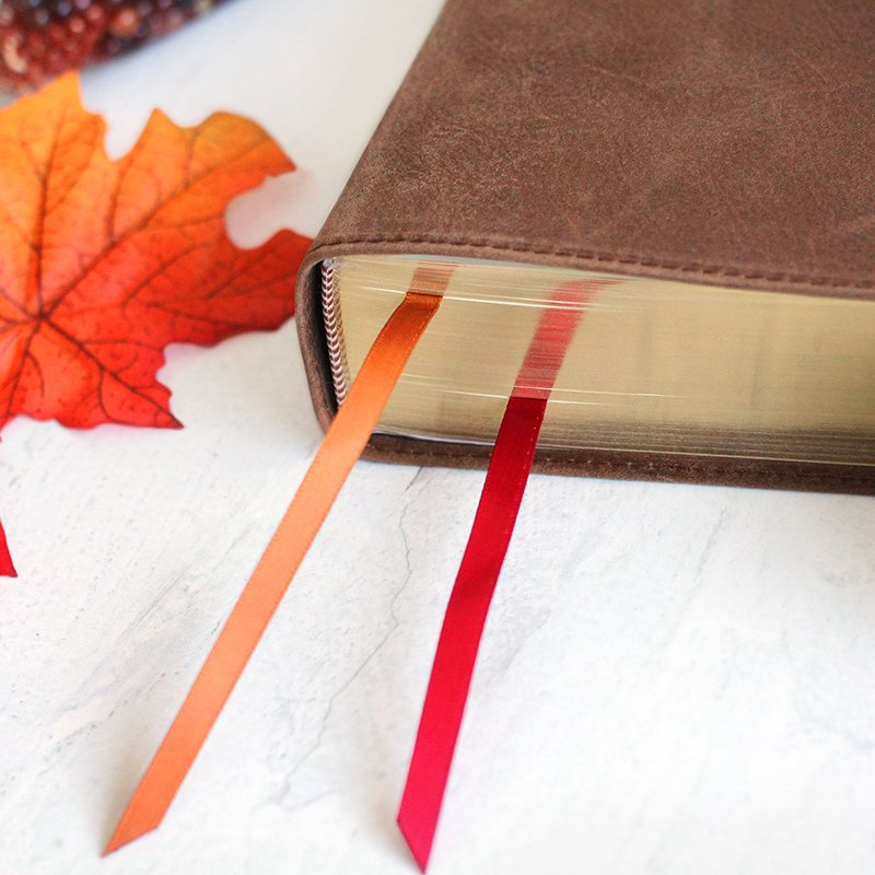 CSB Legacy Notetaking Bible, Tan Genuine Leather with Strap