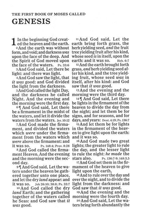 KJV Giant-Print Reference Bible--genuine leather, black (indexed)