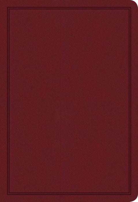 KJV Deluxe Gift Bible, LeatherTouch