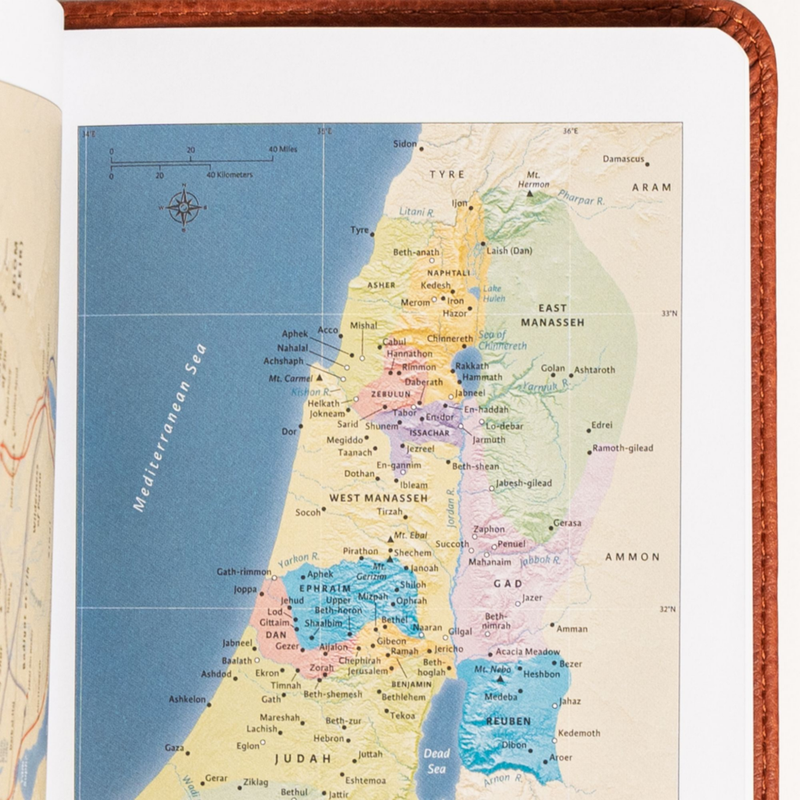 NASB Large Print Compact Reference Bible, Burnt Sienna Leathertouch