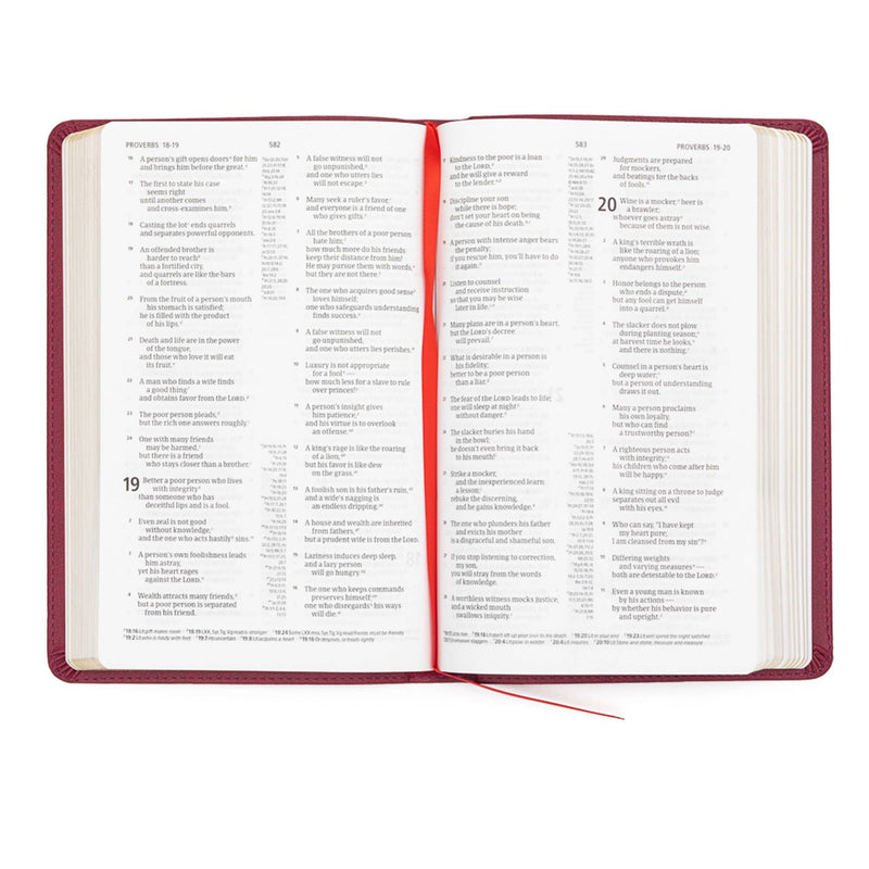 CSB Thinline Reference Bible, Cranberry LeatherTouch