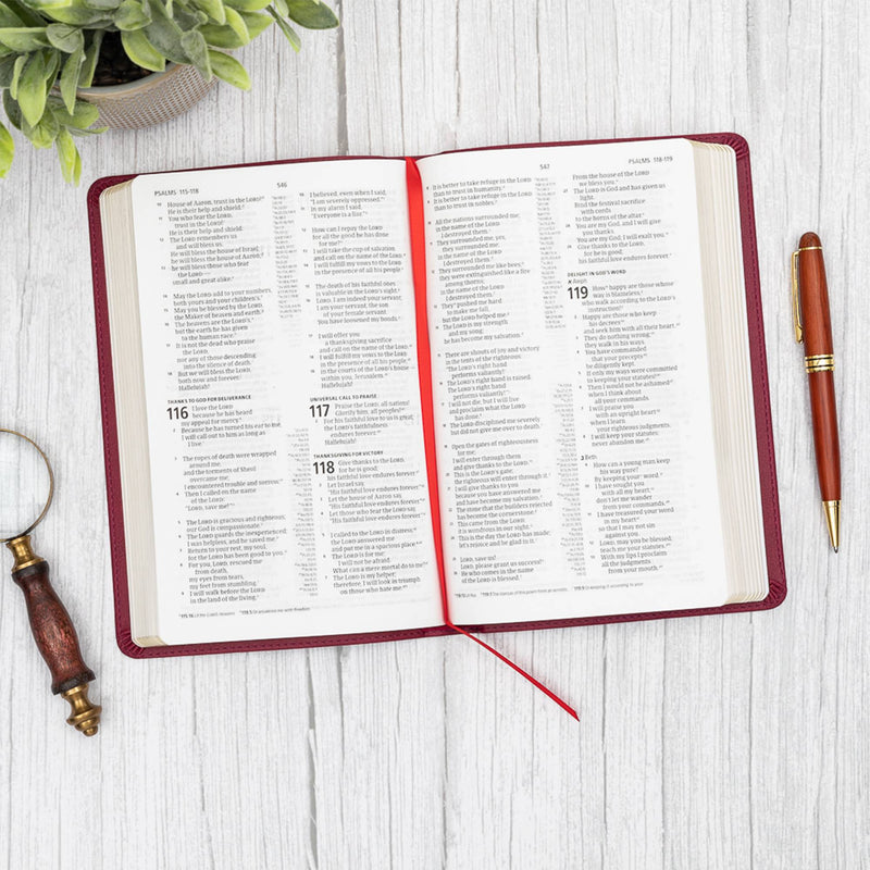 CSB Thinline Reference Bible, Cranberry LeatherTouch