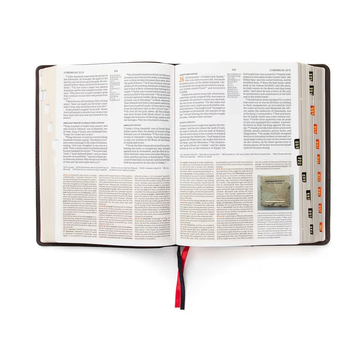 CSB Study Bible, Brown Genuine Leather, Indexed