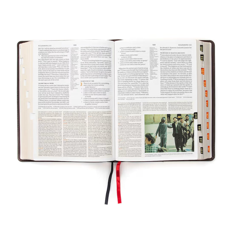 CSB Study Bible, Brown Genuine Leather, Indexed