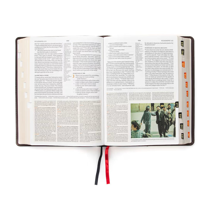 CSB Study Bible, Brown Genuine Leather, Indexed
