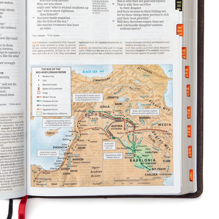 CSB Study Bible, Brown Genuine Leather, Indexed