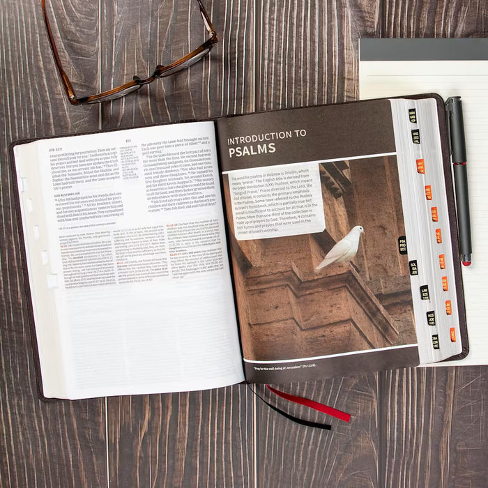 CSB Study Bible, Brown Genuine Leather, Indexed