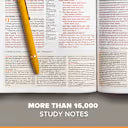CSB Study Bible, Brown Genuine Leather, Indexed