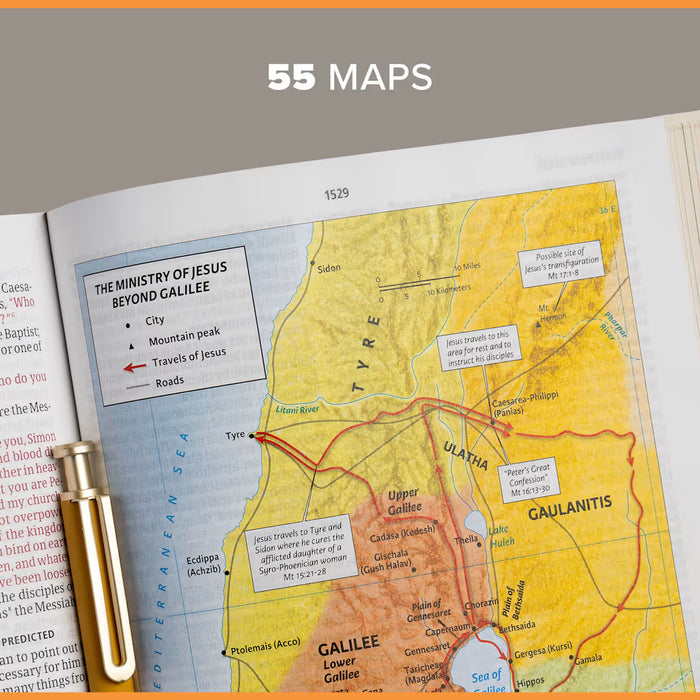 CSB Study Bible, Brown Genuine Leather, Indexed