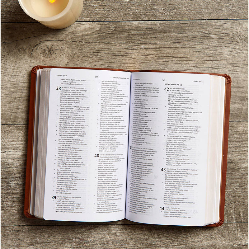 CSB Deluxe Gift Bible, Brown LeatherTouch