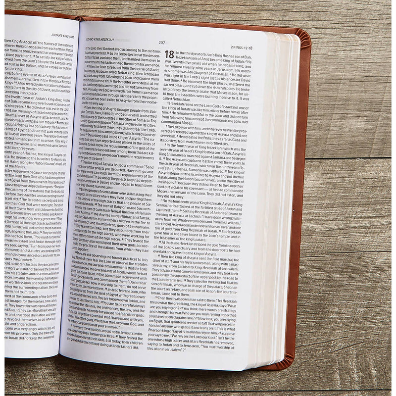 CSB Deluxe Gift Bible, Brown LeatherTouch