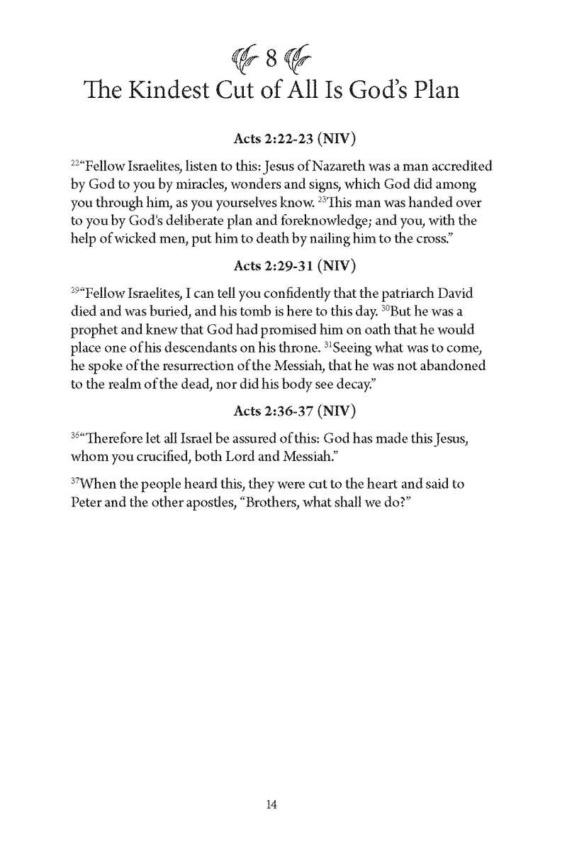 Unveiling Jesus: 144 Reflections on Jesus' Identity and Mission