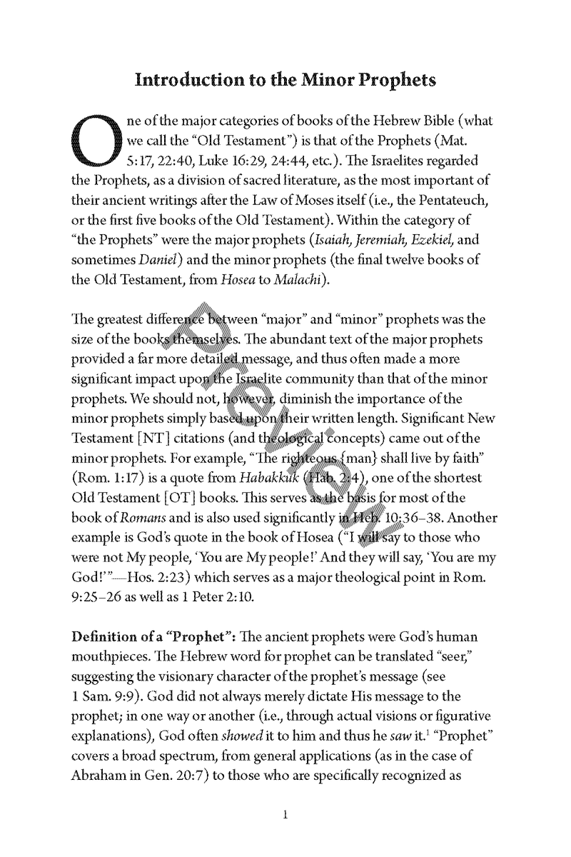 A Study of the Minor Prophets by Chad Sychtysz