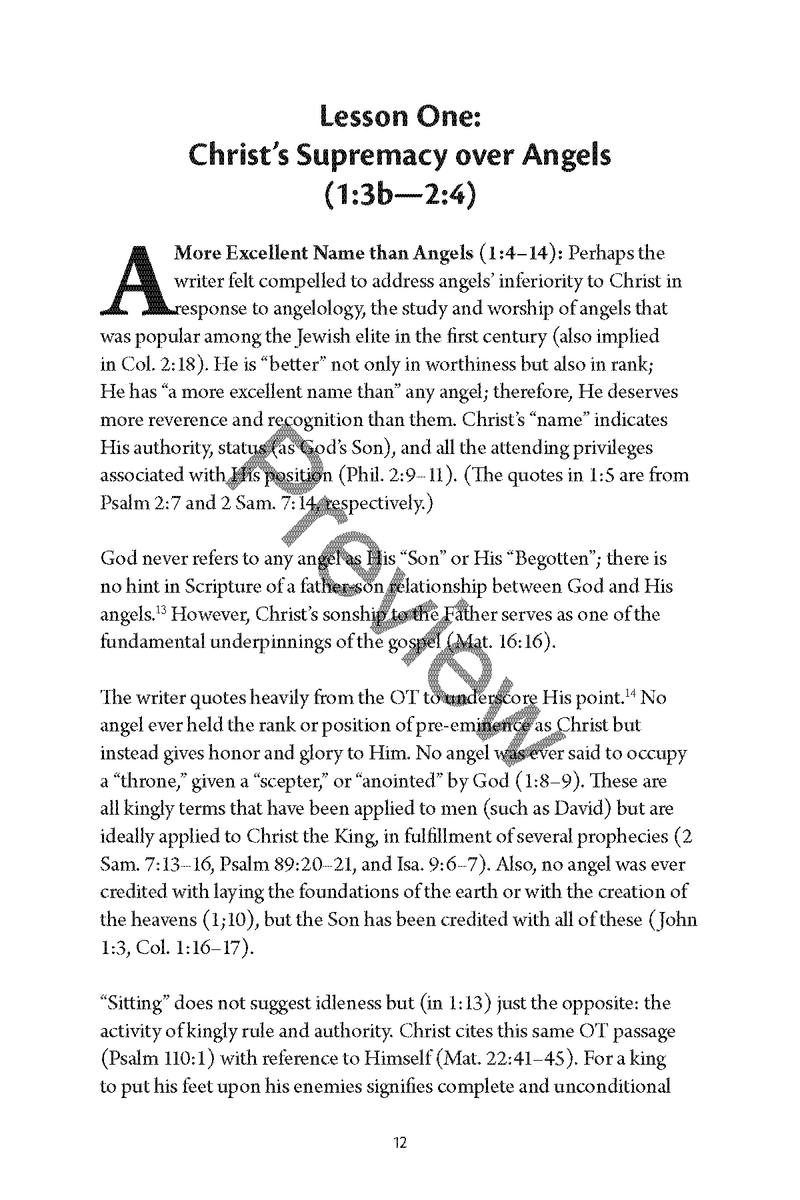 Hebrews: Personal Workbook by Chad Sychtysz
