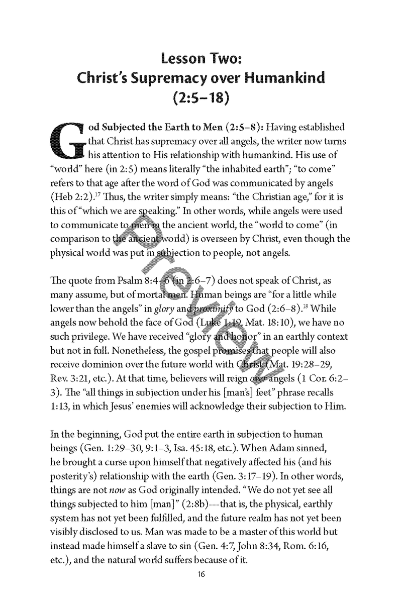 Hebrews: Personal Workbook by Chad Sychtysz