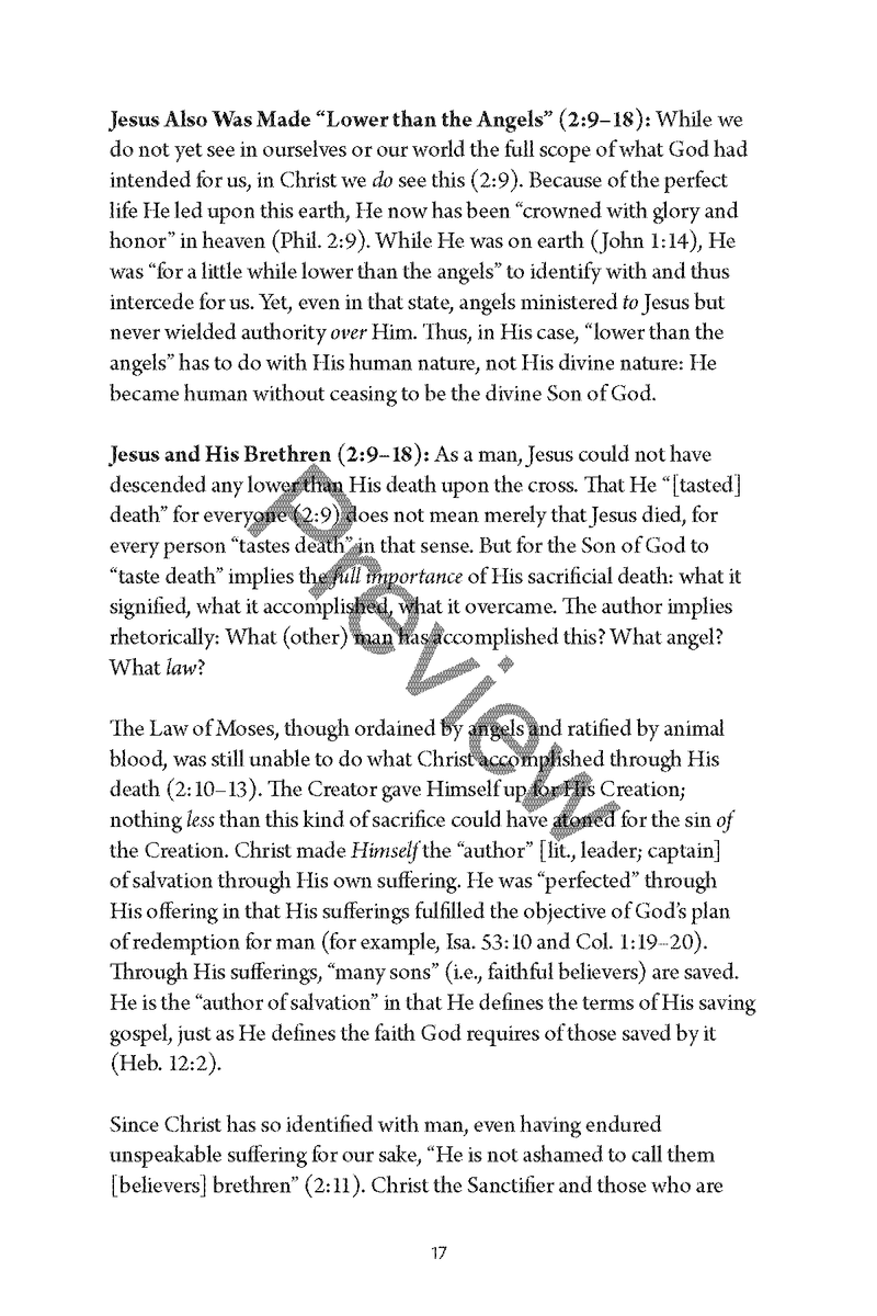 Hebrews: Personal Workbook by Chad Sychtysz