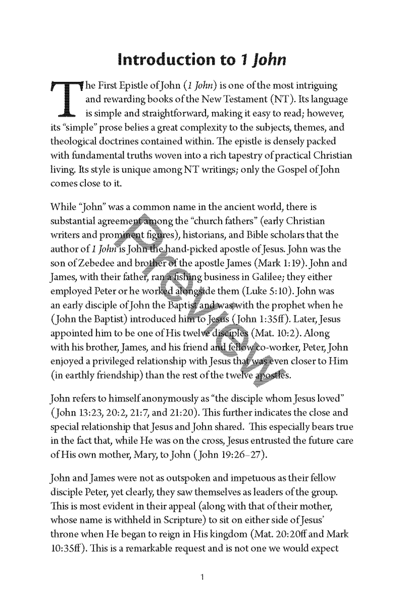 The Epistles of John and Jude: Personal Workbook  By Chad Sychtysz