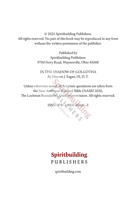 In the Shadow of Golgotha by Vincent J. Eagan III, D. T.