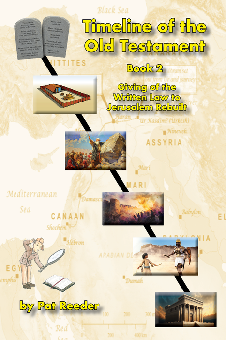 Timeline of the Old Testament (Book 2) by Pat Reeder