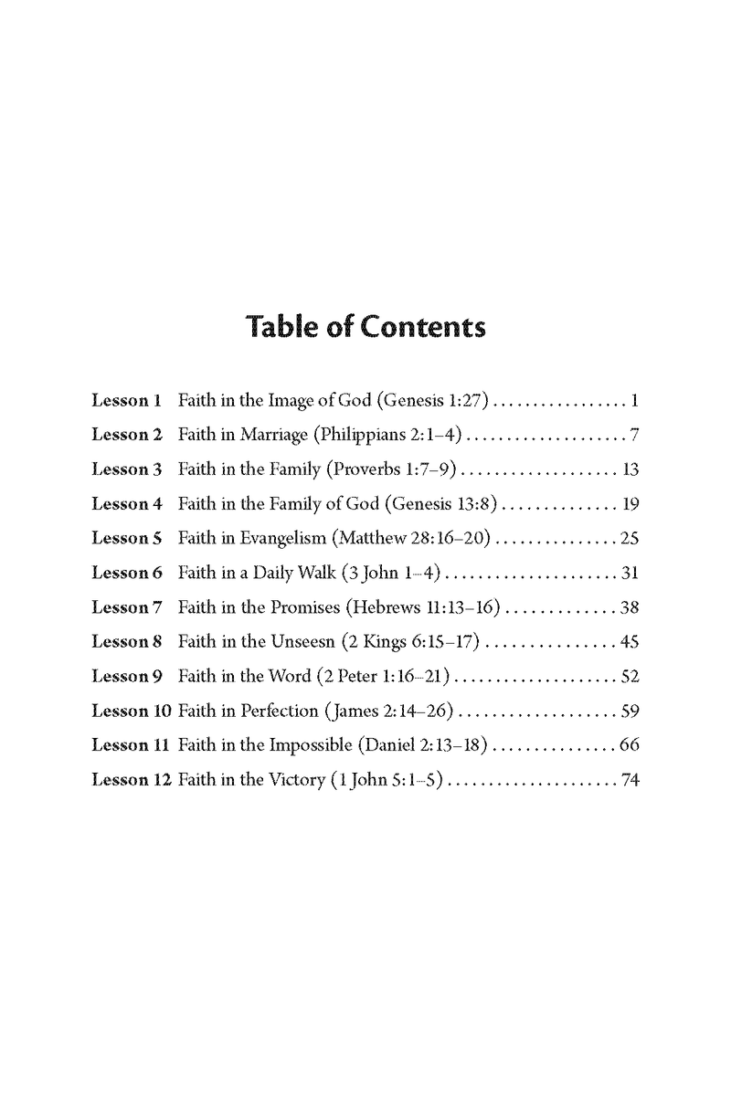 Established in Faith: Learning How to Establish Our Faith to Greater Heights by Kent Heaton