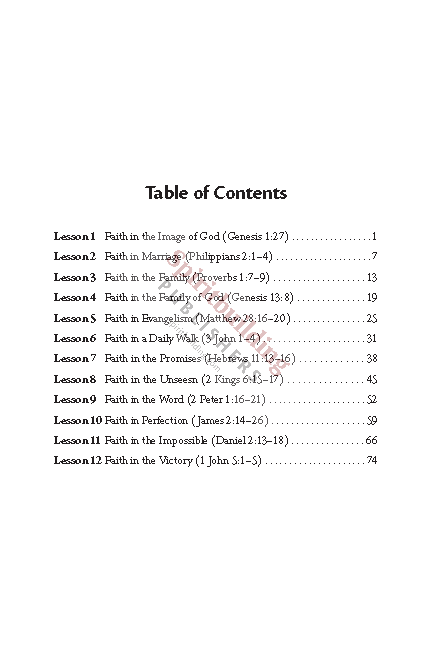 Established in Faith: Learning How to Establish Our Faith to Greater Heights by Kent Heaton