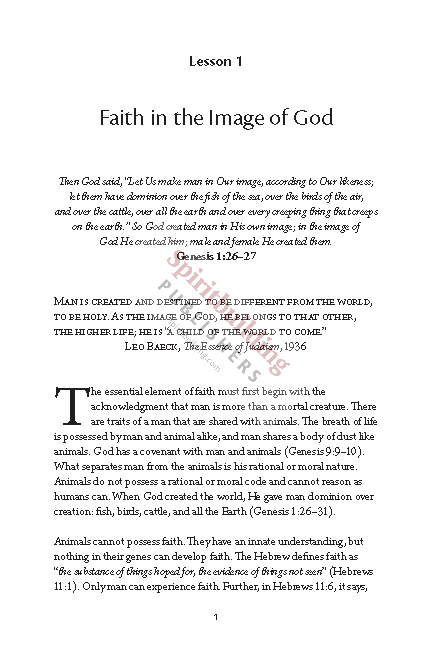 Established in Faith: Learning How to Establish Our Faith to Greater Heights by Kent Heaton