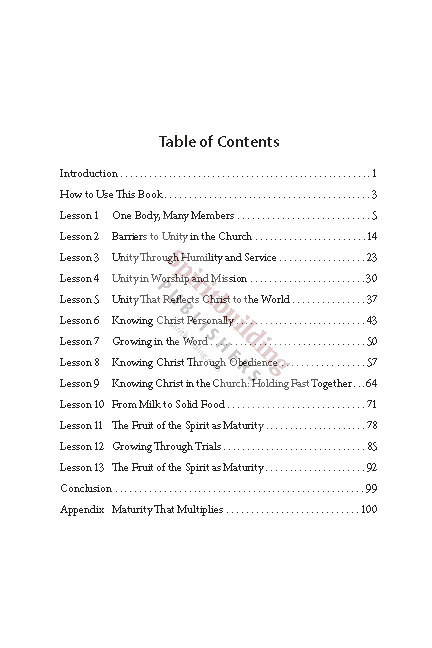 Building Up the Body: Growing Together Toward the Fullness of Christ