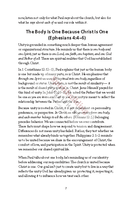 Building Up the Body: Growing Together Toward the Fullness of Christ